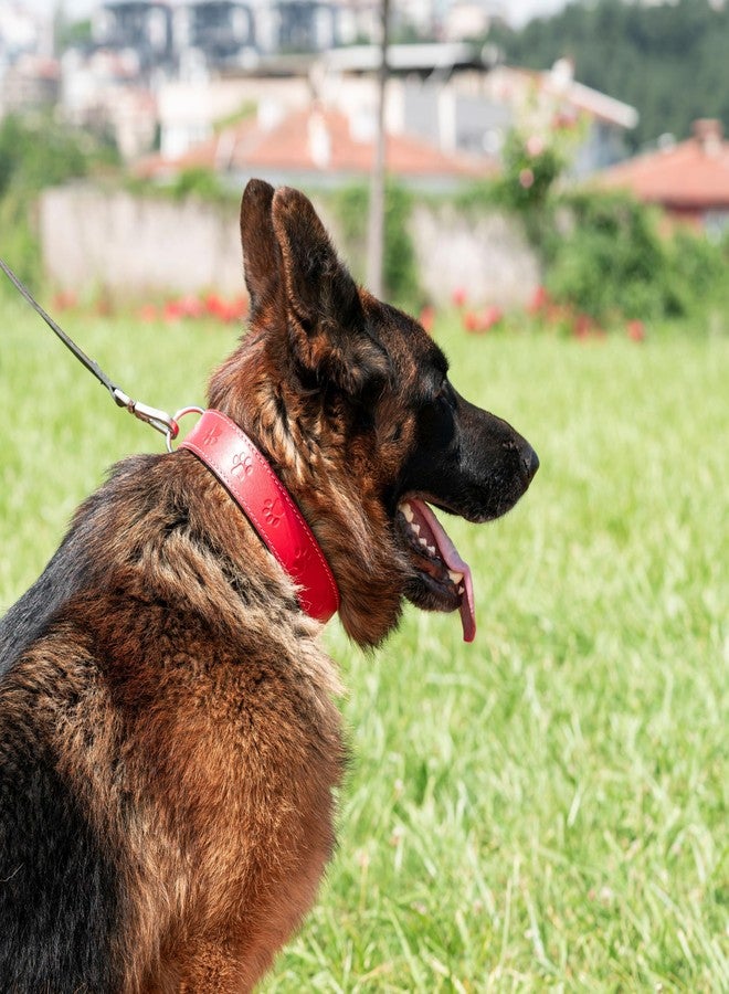 Filbert Leather Dog Collar, Genuine Leather Collar for Large Dogs, Pawprint Embossed with Buckle, Top-Notch Quality Vegetable-Tanned Full Grain, Strong, Adjustable, Heavy Metal Buckle, Brown - Image 3