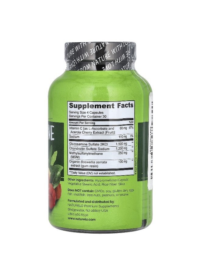 NATURELO NATURELO, Glucosamine Chondroitin & MSM With Boswellia & Vitamin C, 120 Capsules  - Image 2