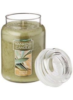 YANKEE CANDLE Yankee Candle Sage And Citrus Scented 22Oz Single Wick Candle Over 110 Hours Of Burn Time Ideal For Home Decor And Gifts Classic Large Jar Ivory  - Image 1