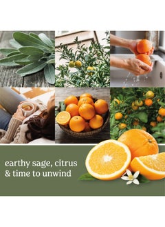 YANKEE CANDLE Yankee Candle Sage And Citrus Scented 22Oz Single Wick Candle Over 110 Hours Of Burn Time Ideal For Home Decor And Gifts Classic Large Jar Ivory  - Image 2
