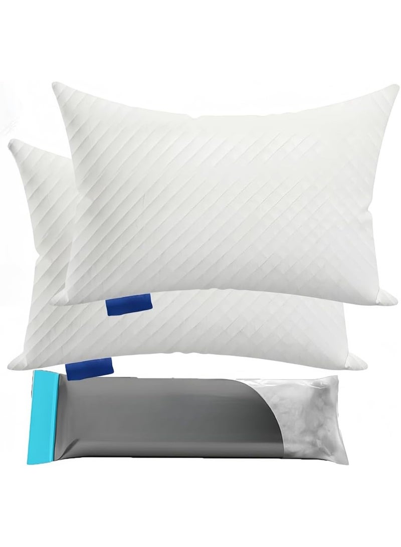 Brinaoki Premium Pillow for Sleeping - Shredded Memory Foam Fill [Adjustable Loft] Washable Cover from Bamboo Derived Rayon - for Side, Back, Stomach Sleepers - 45x65cm 2pc  - Image 1