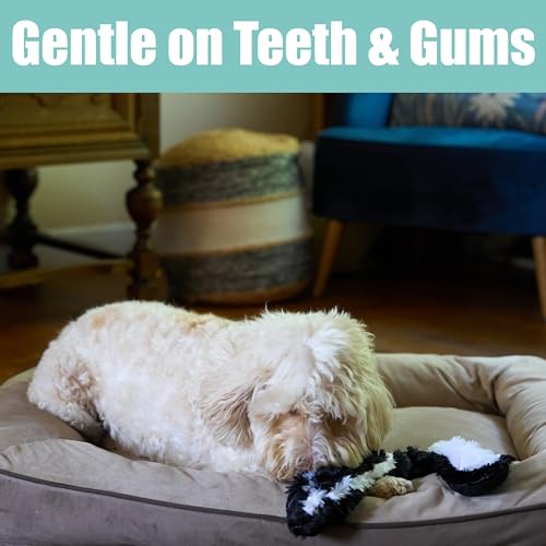 SPOT Skinneeez Skunk 23-Inch Stuffing-Free Plush Dog Toy – Realistic Design with 2 Squeakers – Durable, Soft Polyester for Medium & Large Dogs – Tug, Fetch & Shake Play – for Moderate Chewers - Image 4