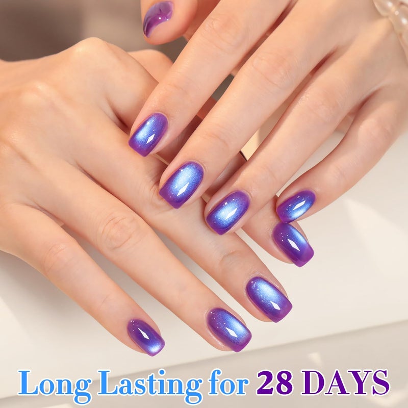 Double Rhythm 0.5 OZ Cat Eye Gel Polish with Magnet 15ML Holographic Glitter Shimmer Translucent Jelly Color Magnetic Nail Polish Salon DIY at Home (Navy Blue-MC1249) - Image 2