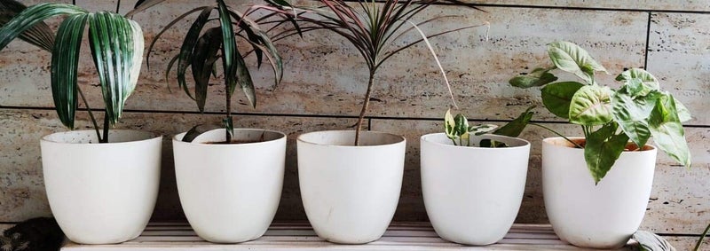Alexvyan Plant Pots, Set of 1 Plastic planters Indoor Outdoor Plastic Flower Pot for All Home Garden Flowers Succulents Color White - Image 4