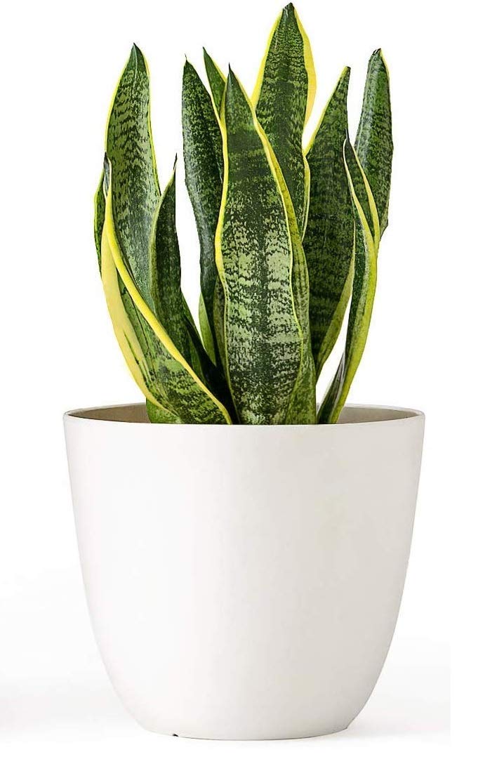 Alexvyan Plant Pots, Set of 1 Plastic planters Indoor Outdoor Plastic Flower Pot for All Home Garden Flowers Succulents Color White - Image 1