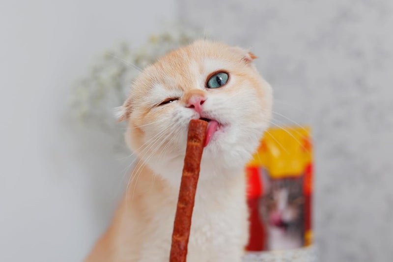 JOSERA JosiCat Dry Cat Food Tasty Beef - 18 Kg - Image 2