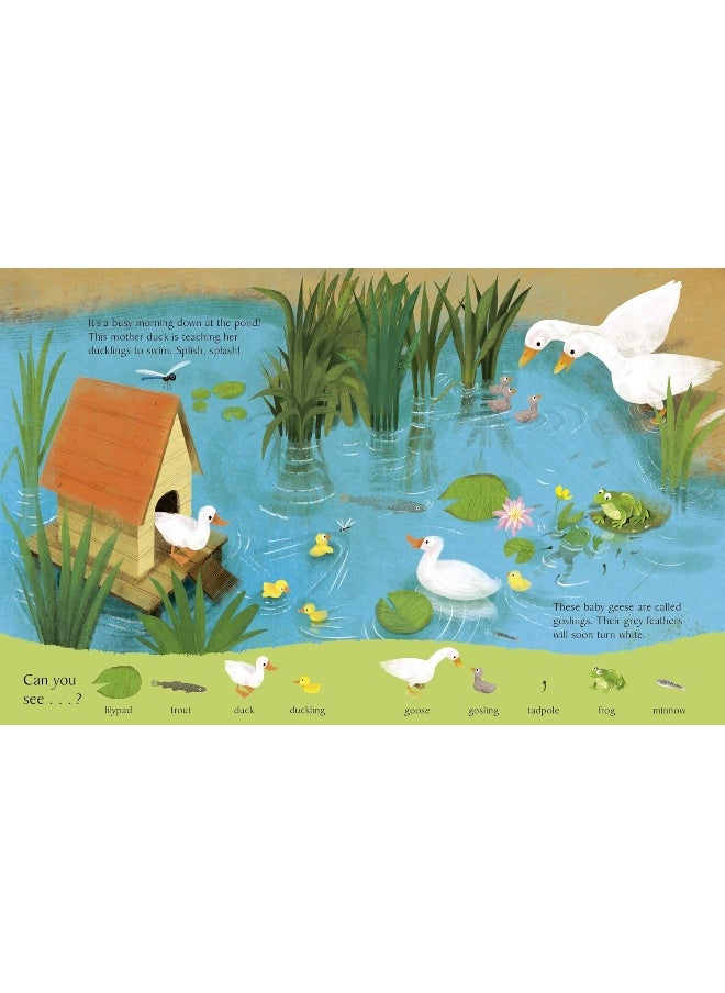National Trust: Look and Say What You See on the Farm  - Image 2