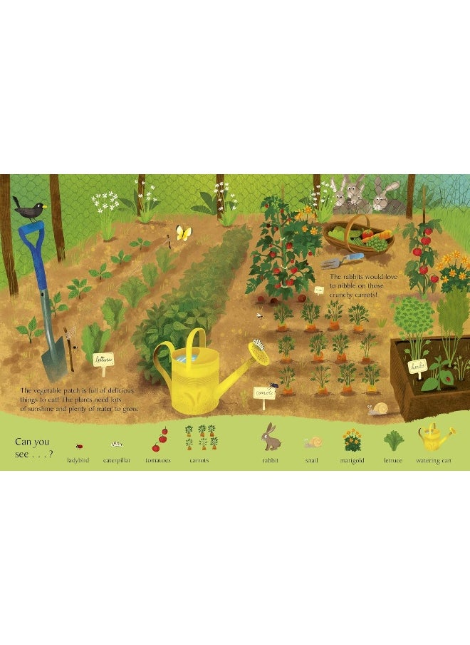 National Trust: Look and Say What You See on the Farm  - Image 4