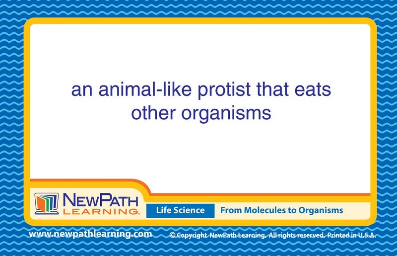 New Path Learning NewPath Learning Life Science Vocabulary Builder Flash Card Set, Middle School - Image 3
