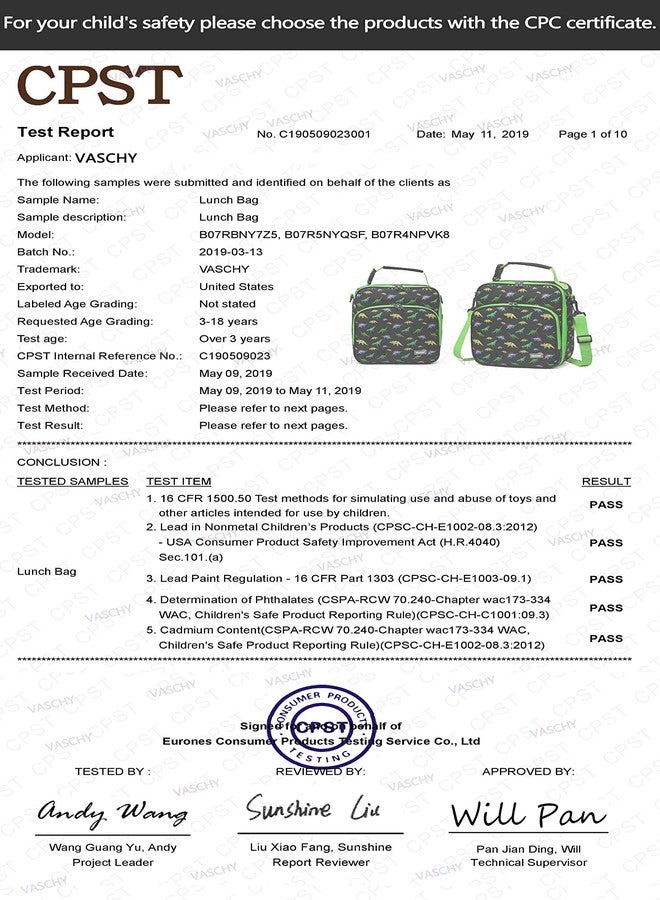 VASCHY 8.6L Large Capacity Insulated Lunch Bag for Boys with Adjustable Shoulder Strap, Thermal Tote Bag with Bottle Pocket for School, Outdoor (Green Dinosaur) - Image 2