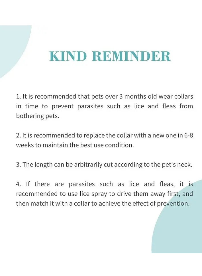 Bioline Dental Water 300ml, Pet Oral Care for Dogs & Cats - Image 3