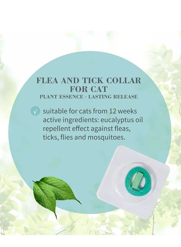 Bioline Dental Water 300ml, Pet Oral Care for Dogs & Cats - Image 4