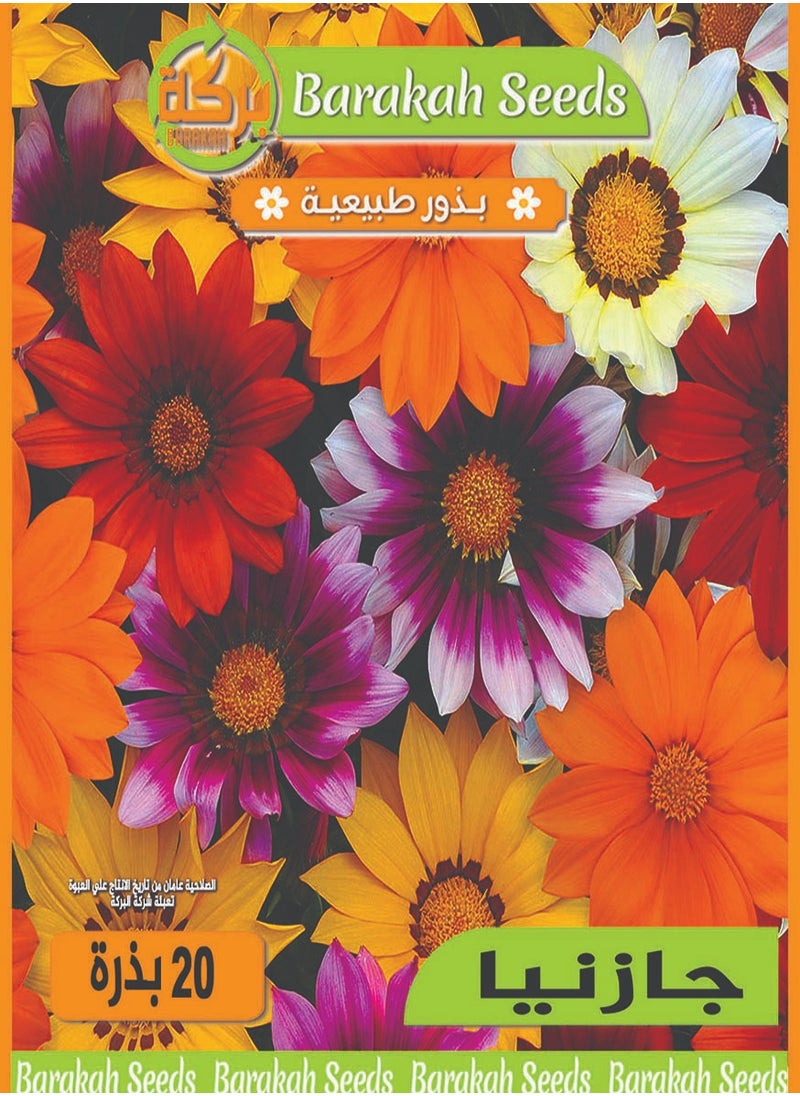 Generic High germination rate seeds - Gazania flower 
