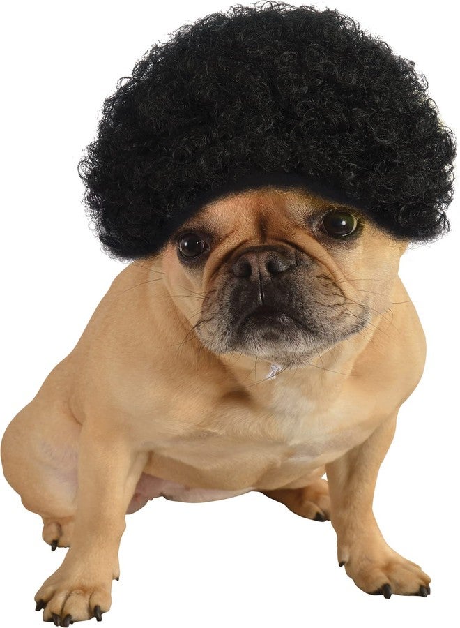 Rubies Afro Pet Wig for Dogs or Cats, M/L - Image 1