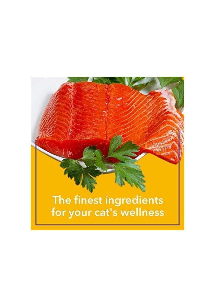 PUREPET طعام رطب للقطط البالغة من بيوربيت بنكهة التونة 1.5 كجم (30 × 50 جرام) - Image 5