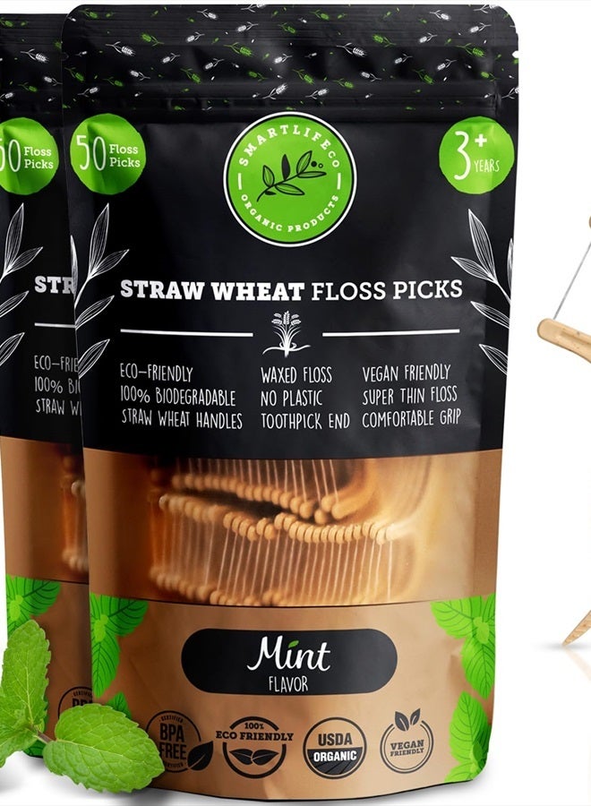 SMARTLIFECO Biodegradable Dental Floss Picks - Natural Plastic Free Handle, Thin Thread Tooth Flossers for Adults & Kids, Eco Friendly Toothpick Soft on Gum & Teeth, Zero Waste Vegan Organic, 100 mint - Image 1