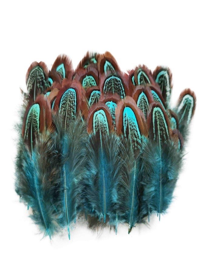 HAPPY FEATHER 50 pcs Natural Pheasant Plumage 2-3 Inches Plumage for Sewing Crafts Clothing Decorating Accessories -Blue - Image 1