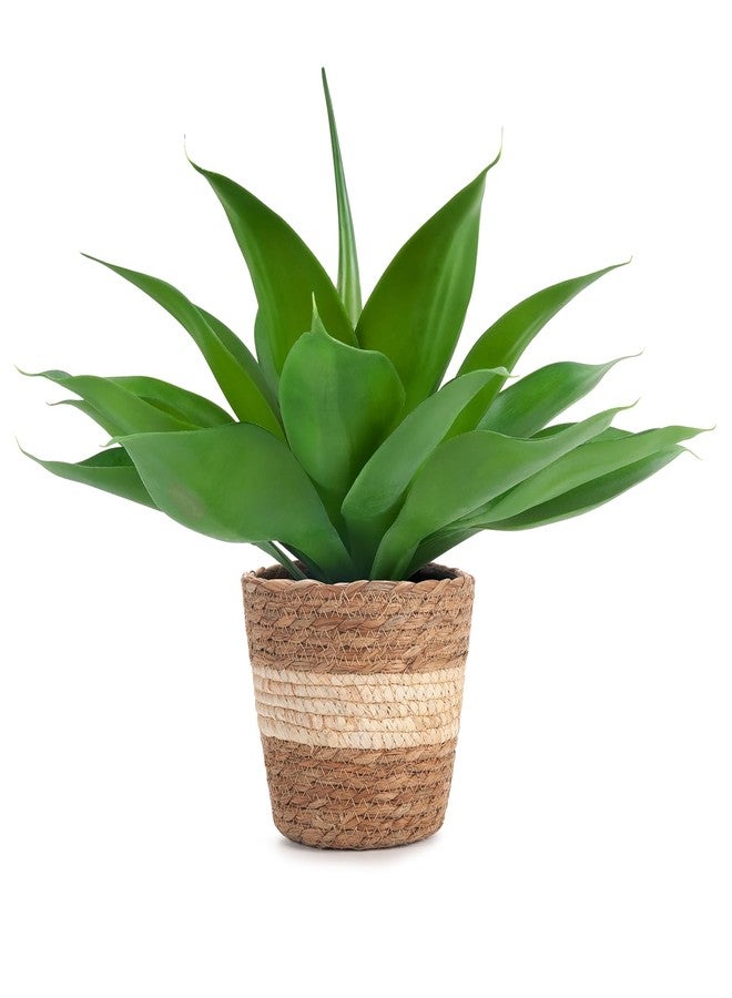 Velener Fake Agave with Rattan Pot, Artificial Plant Outdoor Agave - Fake Sucuulents Plants for Indoor and Outdoor Decor(15 Inch) - Image 1