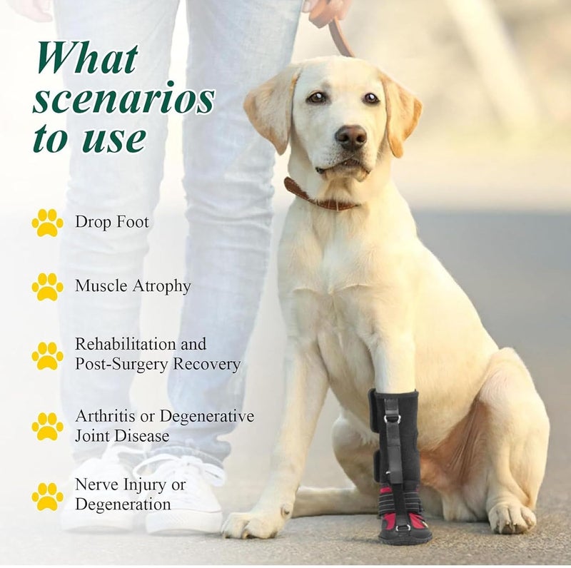 Premium Dog Booties – Breathable, Non-Slip Outdoor Paw Protectors with Abrasion- Soles & Secure Fit for Large Breeds (XL) - Image 2
