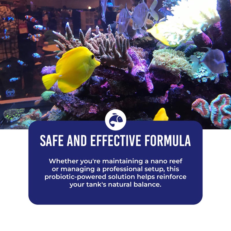 DrTim's Aquatics Reef Eco-Balance Probiotic Bacteria â€“ For Reef, Nano, Seahorse Aquaria, Fish Tanks, Aquariums â€“ Blocks Unfriendly Bacteria, Promotes Optimal Water Quality â€“ 100% Natural â€“ 16 Oz. - Image 4