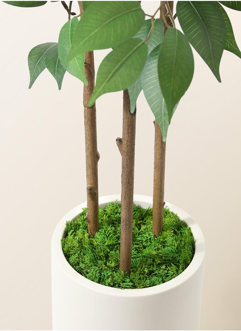Arabest Ficus Artificial Tree 5ft Tall Fake Ficus Tree for Home Decor Indoor Faux Silk Ficus Plant Fake Floor Plant in White Imitation Ceramic Planter with Green Fake Moss, Set of 1  - Image 5