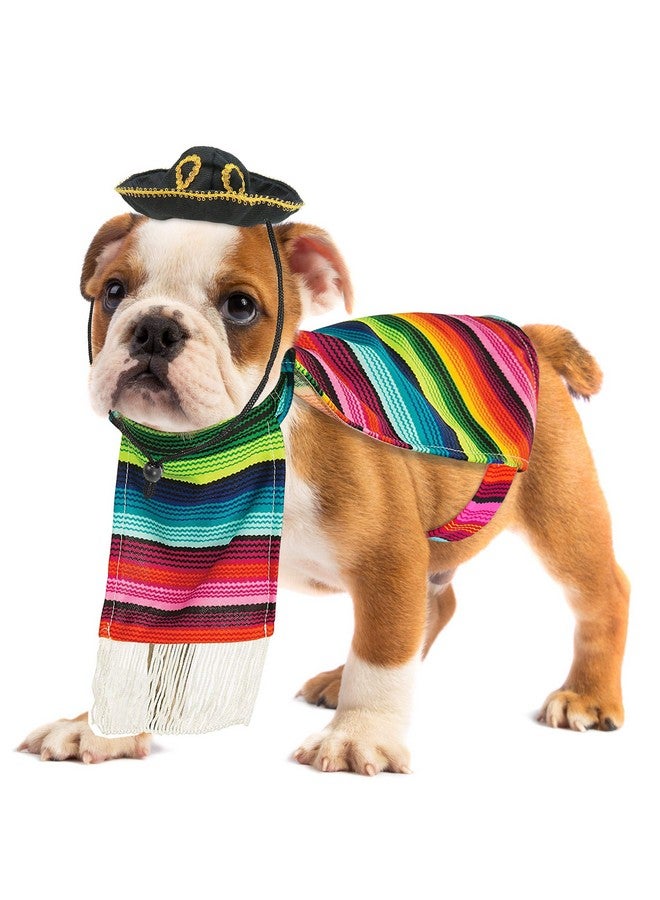 سكيلتين زي كلب سيراب المكسيكي الهيكلي - زي بونشو وقبعة سومبريرو سينكو دي مايو للحيوانات الأليفة (مقاس كبير) - سلالات صغيرة متعددة الألوان - Image 1