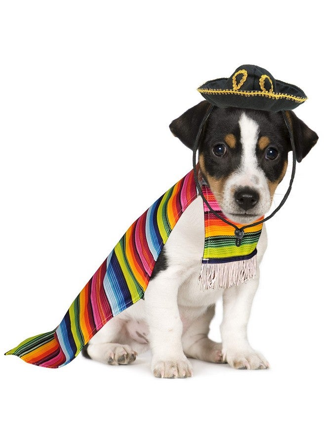 سكيلتين زي كلب سيراب المكسيكي الهيكلي - زي بونشو وقبعة سومبريرو سينكو دي مايو للحيوانات الأليفة (مقاس كبير) - سلالات صغيرة متعددة الألوان - Image 5