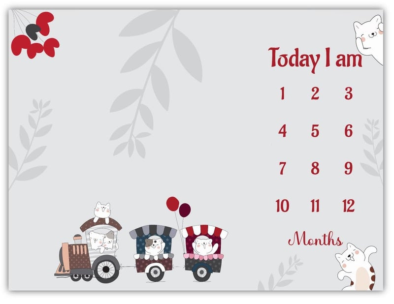 Hoolloomooloo Baby Monthly Milestone Blanket 112 Months Soft AllSeason AC Blanket Ideal for Newborn Boys Girls Perfect Growth Tracker Photoshoot Prop with Animal Train 120x90 cm - Image 2