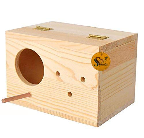Sage Square Natural Breeding Box for Medium Size Birds (Parrots, Cockatiels etc) with Perch Attached - Image 3