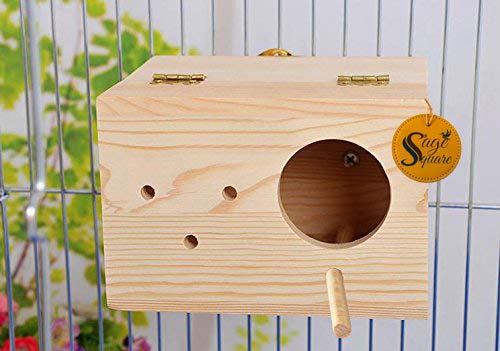 Sage Square Natural Breeding Box for Medium Size Birds (Parrots, Cockatiels etc) with Perch Attached - Image 4