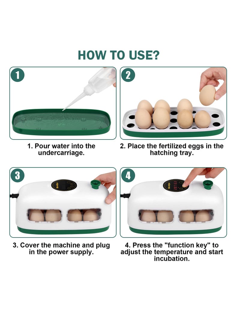 Excefore Egg Incubator, 8 Eggs Poultry Hatcher, Mini Chicken Incubator for Hatching Chicks, with Humidity Temperature Control and Display, for Quail, Duck, Goose, Bird, Eggs (White) - Image 3
