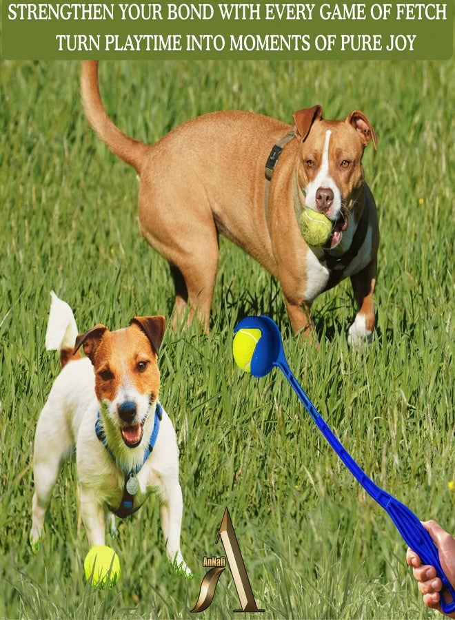 AnNafi Speed Arm Ball Thrower - Cricket Practice & Fetch Fold Launcher Set (with Tennis Ball, Blue) - Image 5
