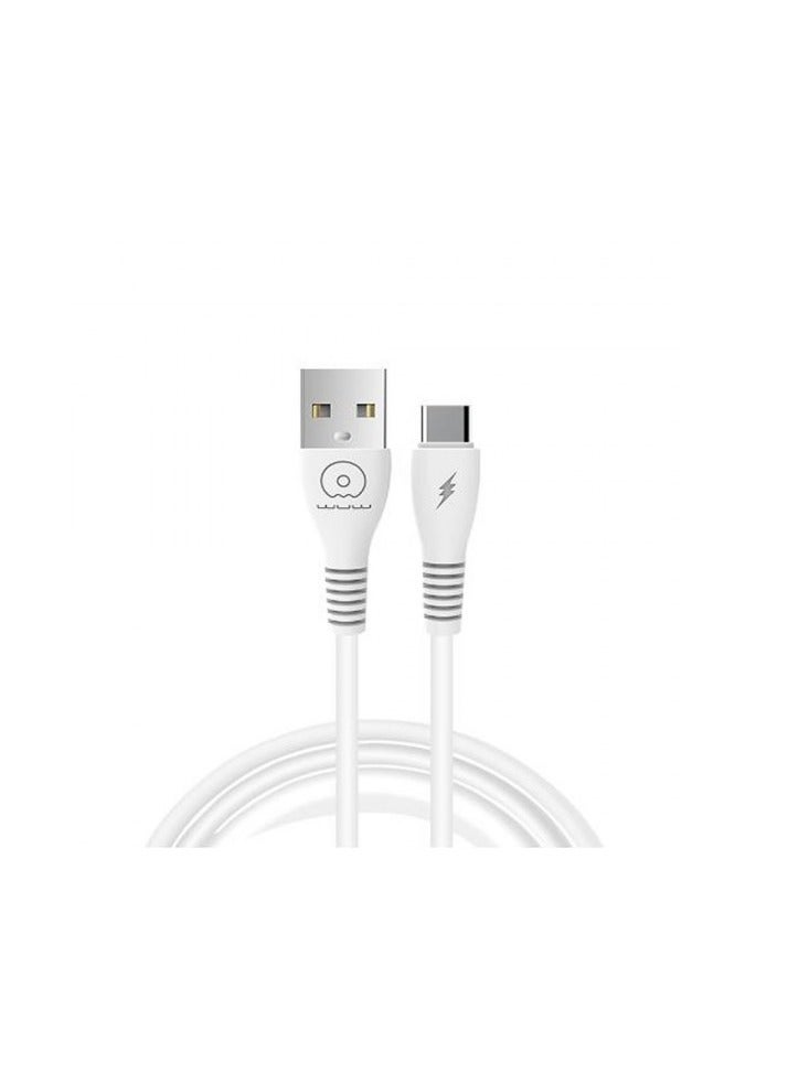 كابل من النوع C بطول 1 متر A إلى سلك بيانات USB C Premium  - Image 3