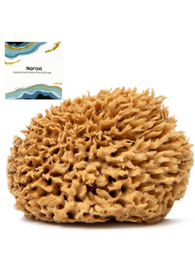 Naroa Soft Natural Sponge Gentle Sea Sponge For Bathing Healthy Skin Unbleached Shower Body Scrubber Puff Eco Friendly Bath Spa Sponge (Softmedium) - Image 1