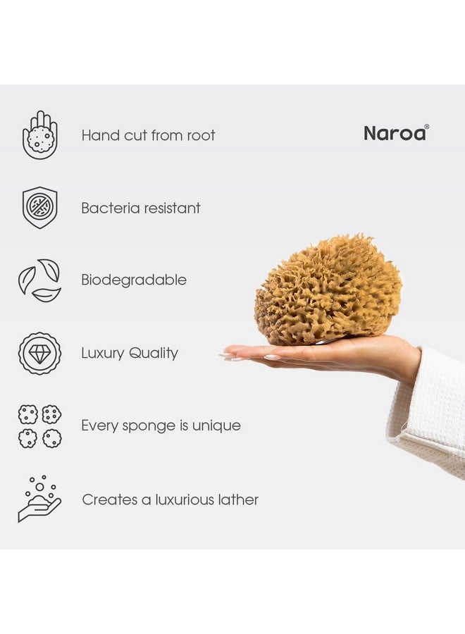 Naroa Soft Natural Sponge Gentle Sea Sponge For Bathing Healthy Skin Unbleached Shower Body Scrubber Puff Eco Friendly Bath Spa Sponge (Softmedium) - Image 3
