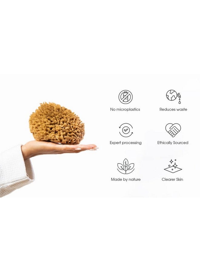Naroa Soft Natural Sponge Gentle Sea Sponge For Bathing Healthy Skin Unbleached Shower Body Scrubber Puff Eco Friendly Bath Spa Sponge (Softmedium) - Image 5