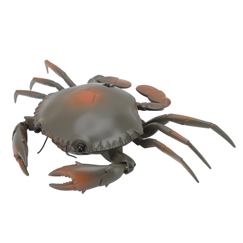 RC Crab Toy: Blue High-Quality Plastic - Stimulating Physical Movement Educational Crab Toy for Kids Home Learning & Birthday Gifting - Image 2