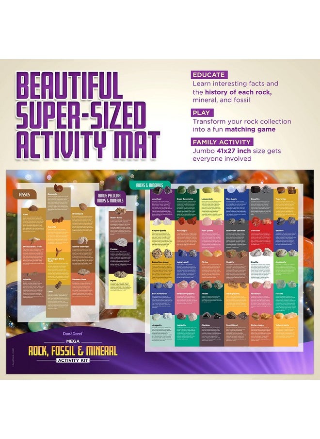 Dan&Darci - Rock Collection For Kids. Includes 250+ Bulk Rocks Gemstones & Crystals + Genuine Fossils And Minerals 2 Lbs. Geology Science Stem Toys Gifts For Boys & Girls Ages 6+. Earth Science Activity - Image 1