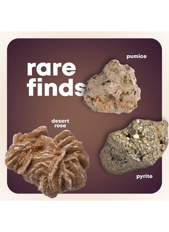 Dan&Darci - Rock Collection For Kids. Includes 250+ Bulk Rocks Gemstones & Crystals + Genuine Fossils And Minerals 2 Lbs. Geology Science Stem Toys Gifts For Boys & Girls Ages 6+. Earth Science Activity - Image 1