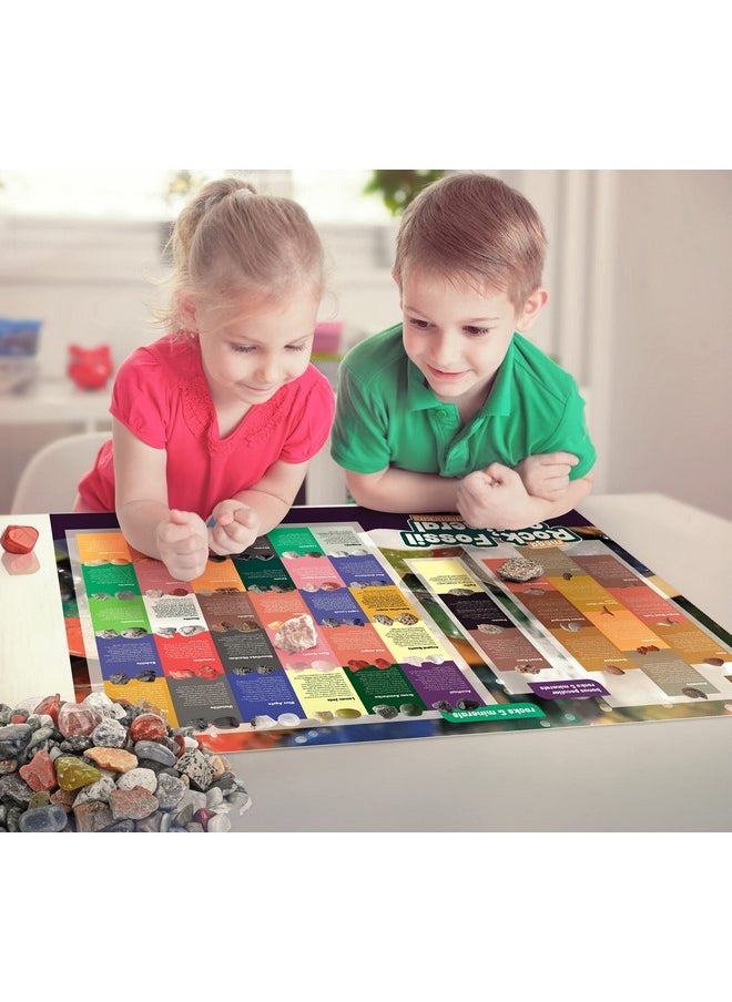 Dan&Darci - Rock Collection For Kids. Includes 250+ Bulk Rocks Gemstones & Crystals + Genuine Fossils And Minerals 2 Lbs. Geology Science Stem Toys Gifts For Boys & Girls Ages 6+. Earth Science Activity - Image 1