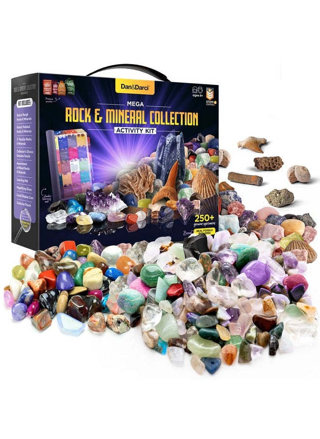 Dan&Darci - Rock Collection For Kids. Includes 250+ Bulk Rocks Gemstones & Crystals + Genuine Fossils And Minerals 2 Lbs. Geology Science Stem Toys Gifts For Boys & Girls Ages 6+. Earth Science Activity - Image 1