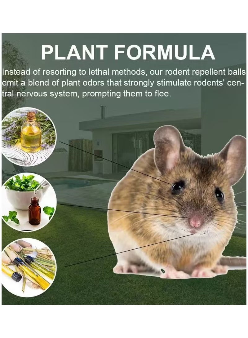 10 Packs Of Rat And Mouse Deworming Balls, Suitable For Home And Garden Protection, Natural Ingredients For Rat Deworming Balls, And Pest-repellent. - Image 5