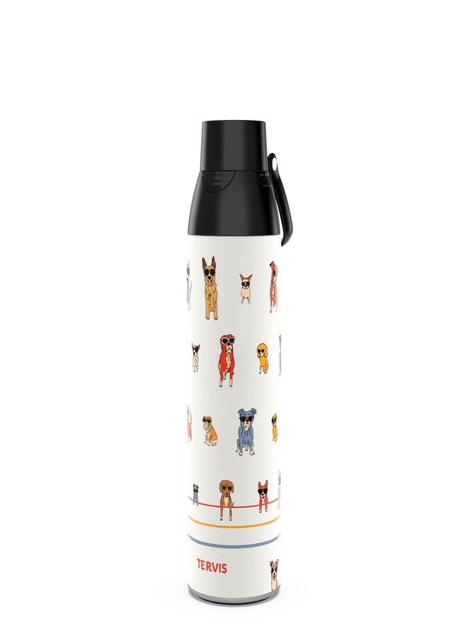 Tervis Venture Water Bottle Dog Paws and Shades Triple Walled Insulated Tumbler Travel Cup Keeps Drinks Cold & Hot, 26oz, Stainless Steel - Image 1