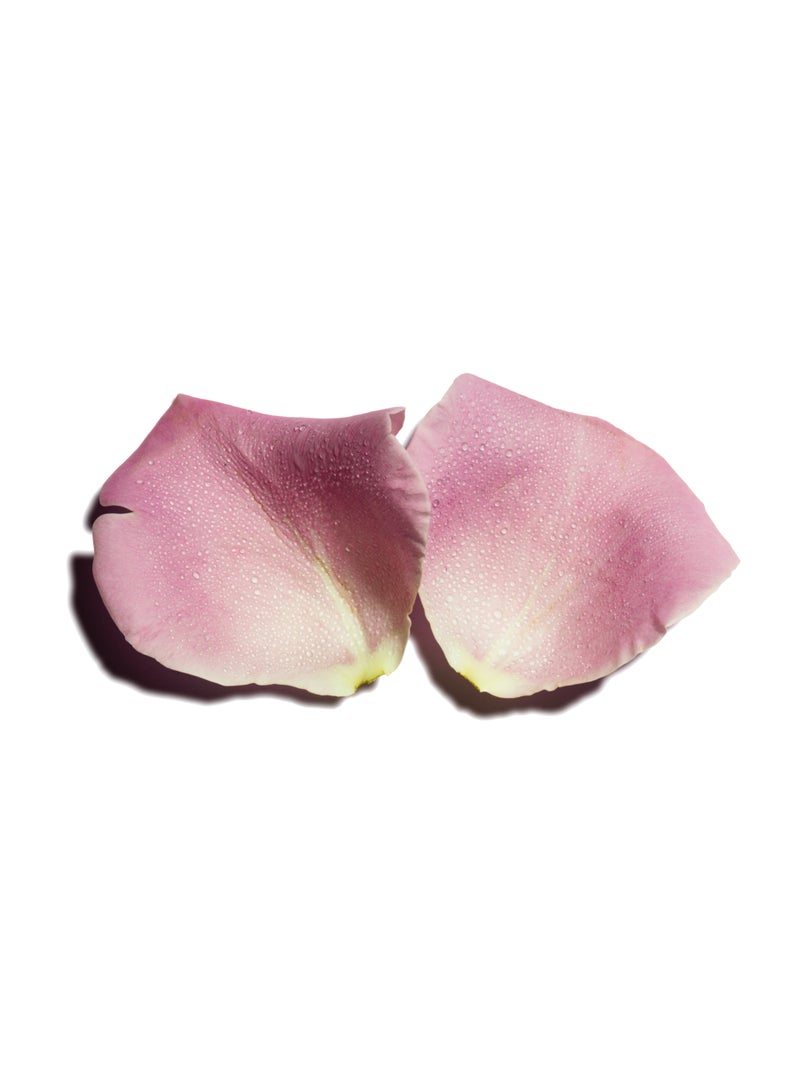 BENAMÕR Rosto Anti-Fatigue Eye Cream – Reduces Dark Circles, Puffiness & Tired Eyes | Hydrating Eye Treatment with Rose Extract & Vitamin E – 15ml - Image 4