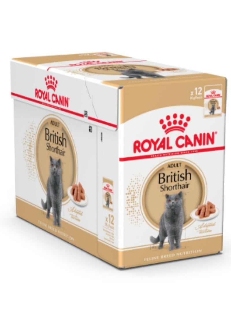 رويال كانين تغذية القطط قصيرة الشعر البريطانية (الأغذية الرطبة - الأكياس)