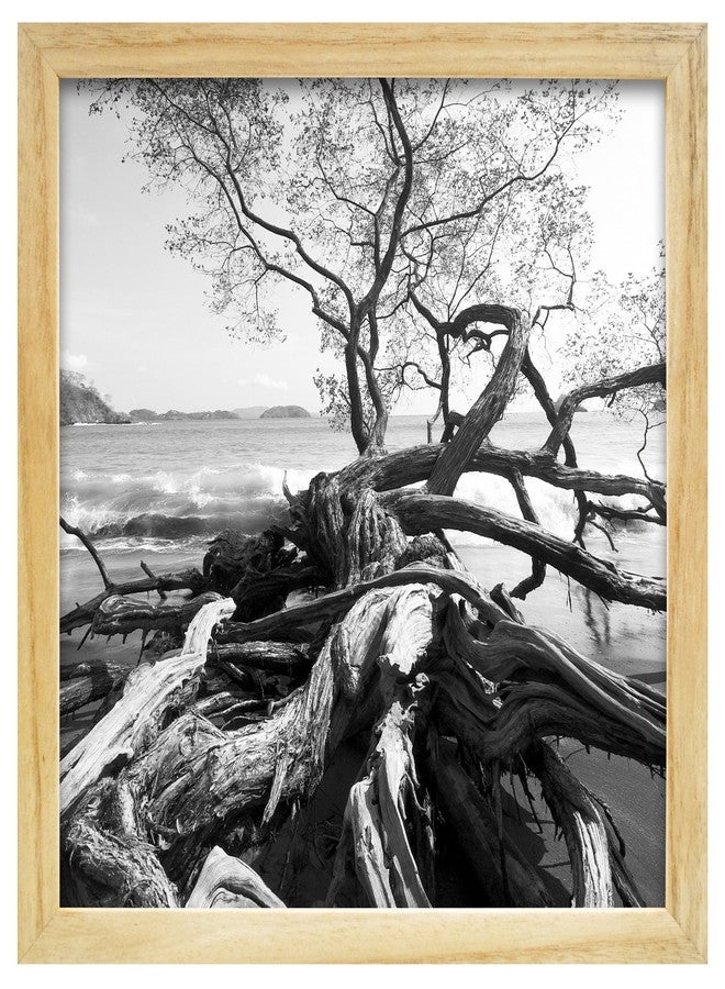 MCS Art Frame with Mat Opening, Natural, 12 x 12 in - Image 2