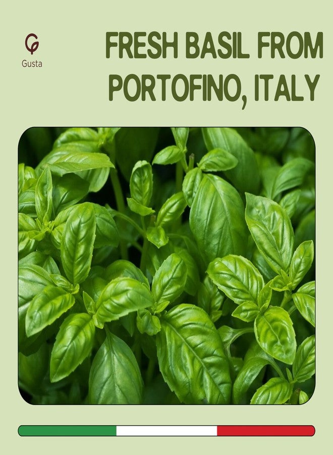 Gusta Imported Italian Fresh Basil Pesto Sauce - Extra Creamy - Extra Virgin Olive Oil, Cheese & Nuts - Delicious & Authentic Pasta Sauce and Spread - Home Made Style - 6.35 oz Glass Jar - Image 3
