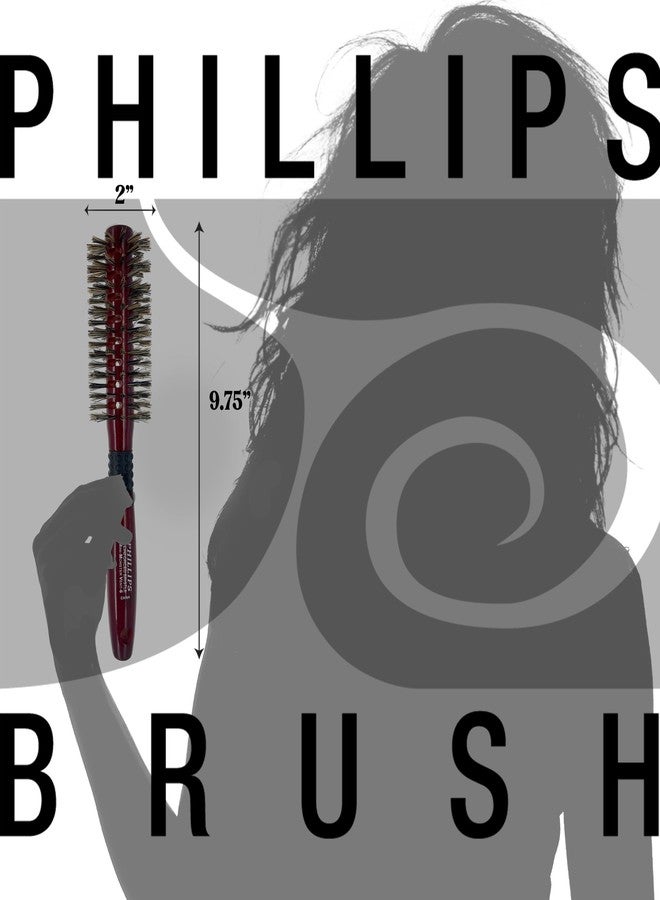 Phillips Brush فرشاة فيليبس ميني مونستر فينت 6 فرشاة شعر احترافية (أسطوانة بقطر 2 بوصة) - فرشاة تجفيف هوائية مع شعيرات من شعر الخنزير المعزز بالنايلون، مقبض خشب الزان مع قبضة مطاطية - Image 3