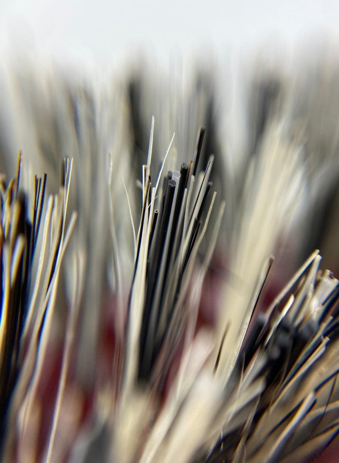 Phillips Brush فرشاة فيليبس ميني مونستر فينت 6 فرشاة شعر احترافية (أسطوانة بقطر 2 بوصة) - فرشاة تجفيف هوائية مع شعيرات من شعر الخنزير المعزز بالنايلون، مقبض خشب الزان مع قبضة مطاطية - Image 4