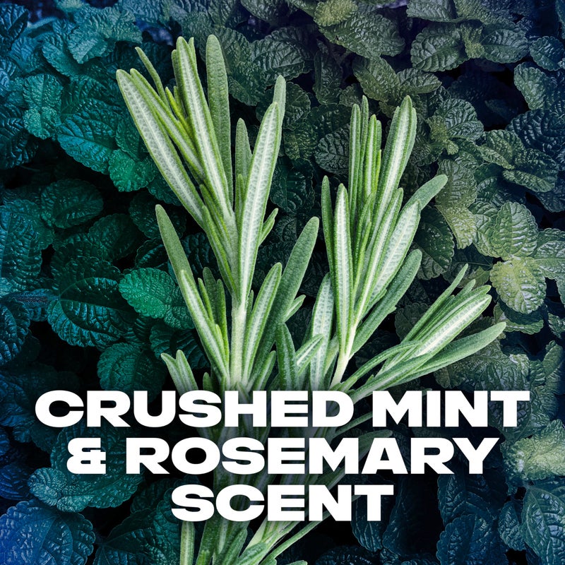 أكس إصبع مزيل العرق فينيكس، قطعتان - Image 3